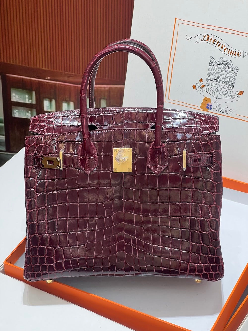 Anum Bags Hermesn Luxury Bag --117203