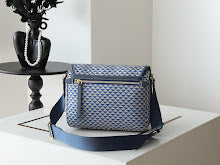 Ezyycart Bags new-luxury-designer-bags-nm2282