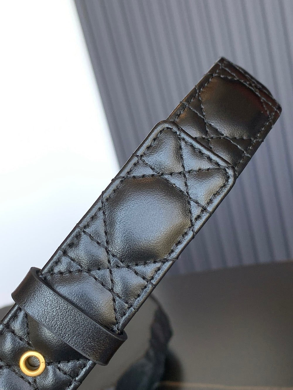 Anum Bags Diorn Luxury Belt --104992