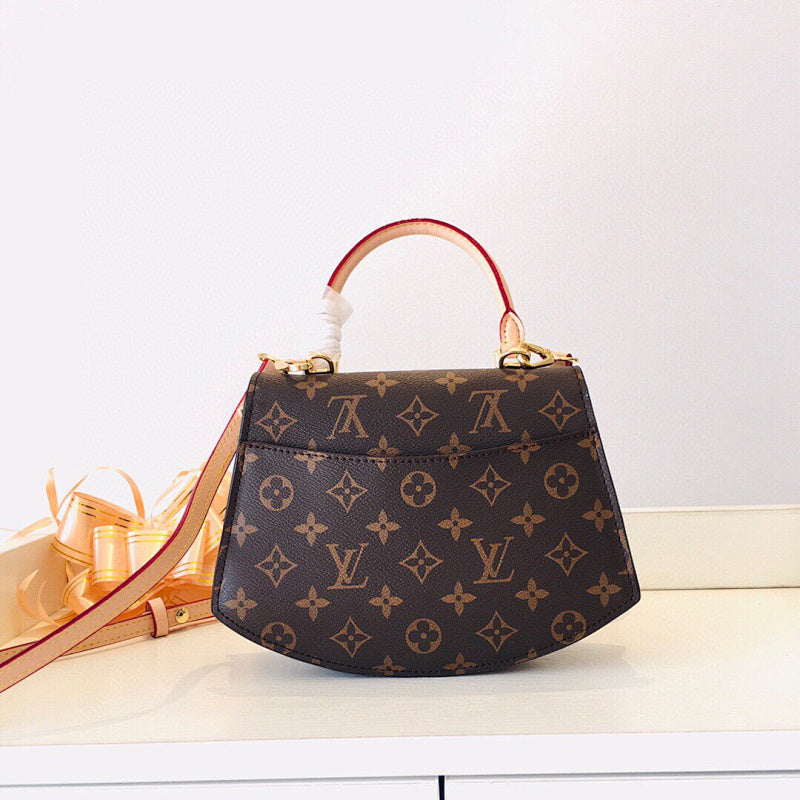 Anum Bags LVn Luxury Bag --80647