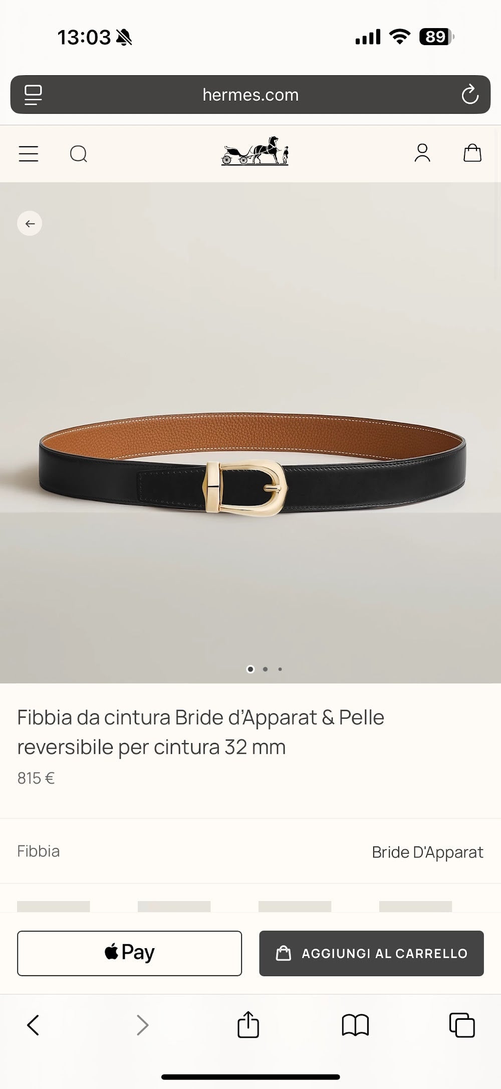Anum Bags Hermesn Luxury Belt --109133