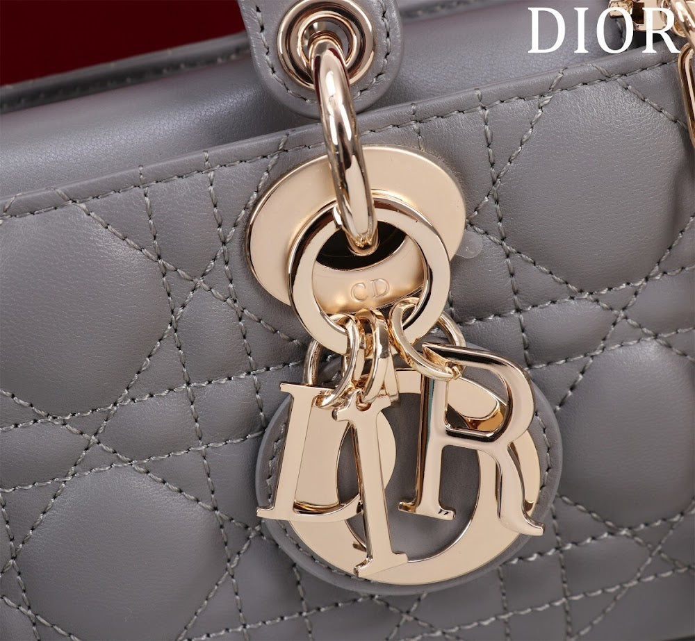 Anum Bags Diorn Luxury Bag --114765