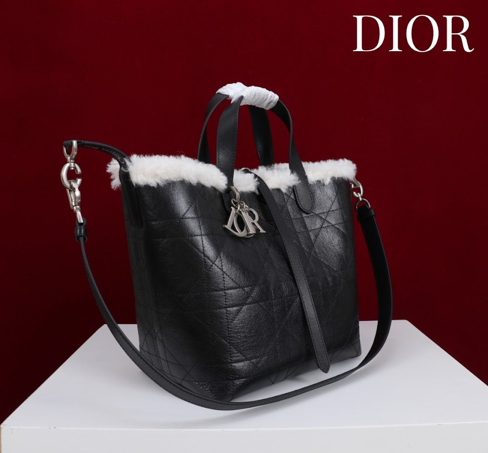 Anum Bags Diorn Luxury Bag --114887