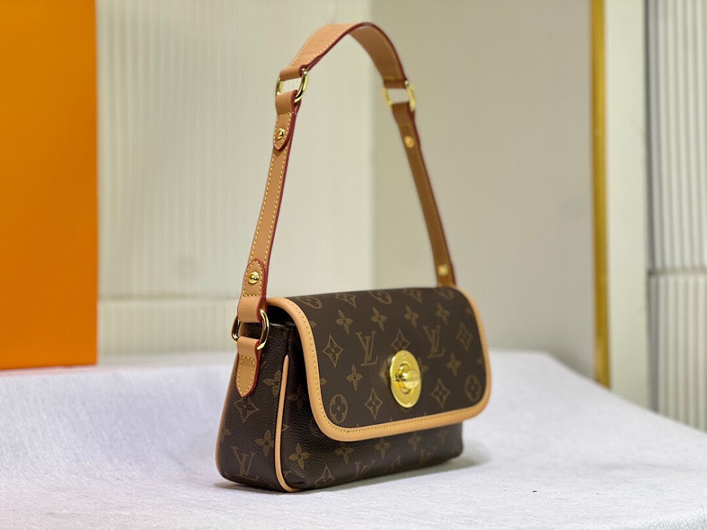 Anum Bags LVn Luxury Bag --79697