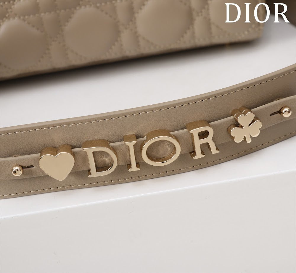Ezyycart Bags Diorn Luxury Bag --115933