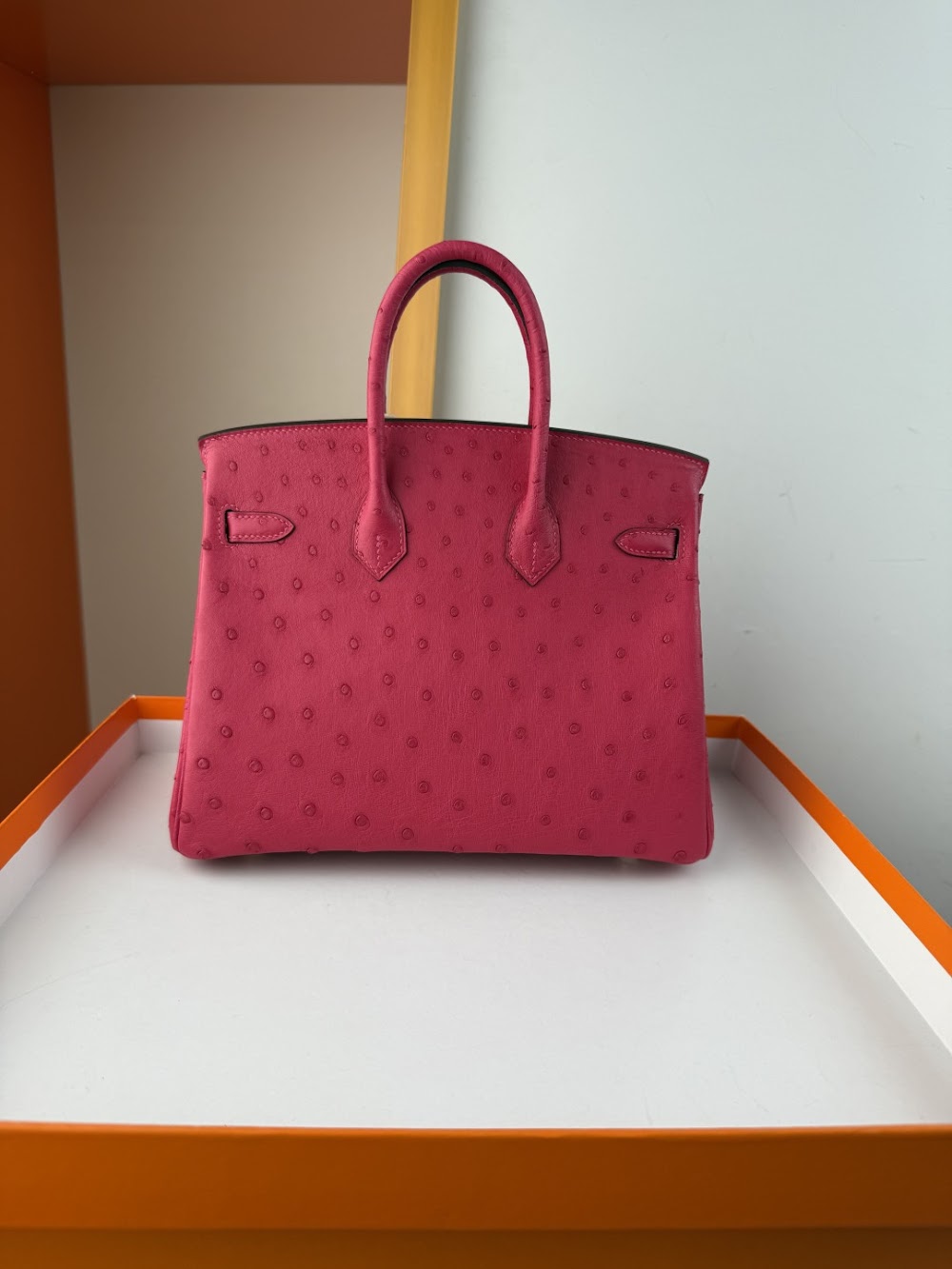 Anum Bags Hermesn Luxury Bag --116763