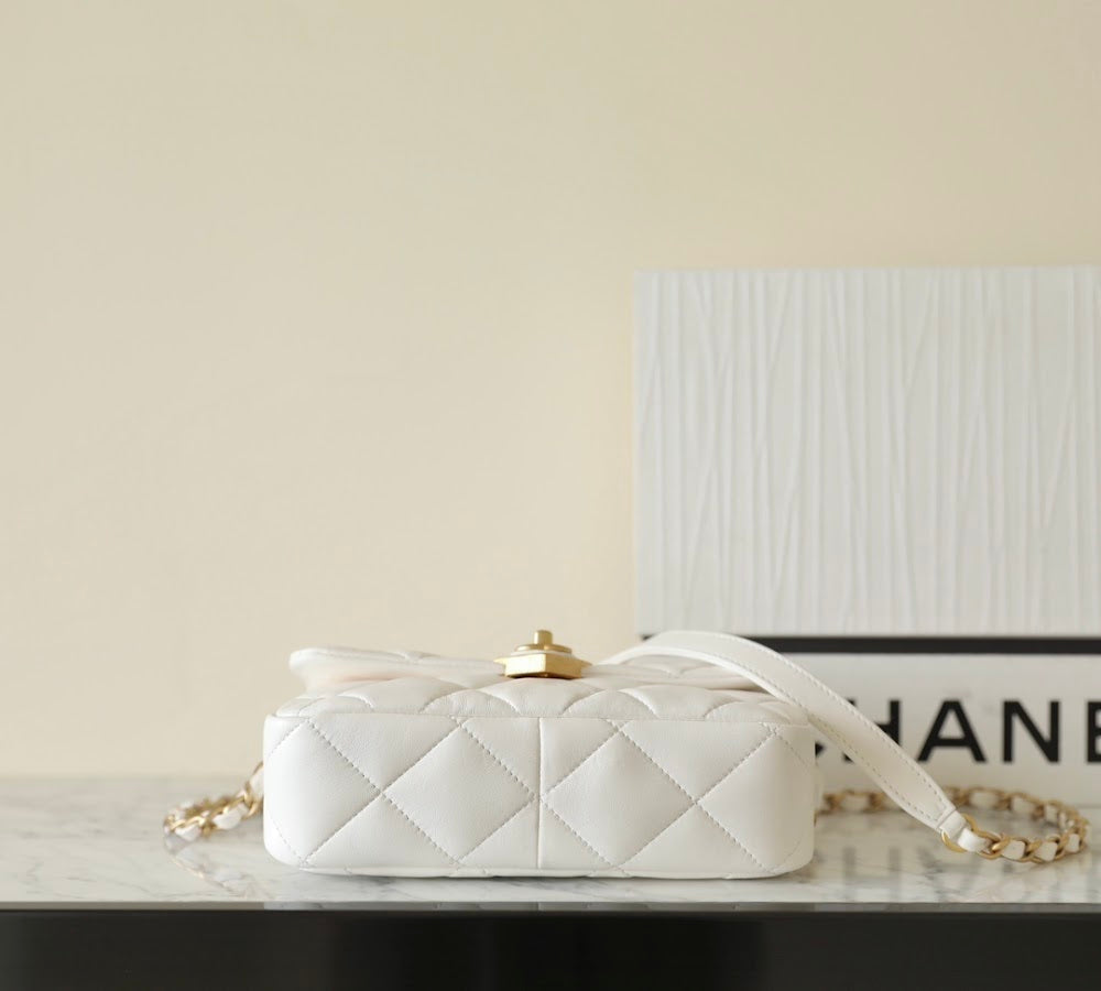 new-luxury-designer-bags-nm20619
