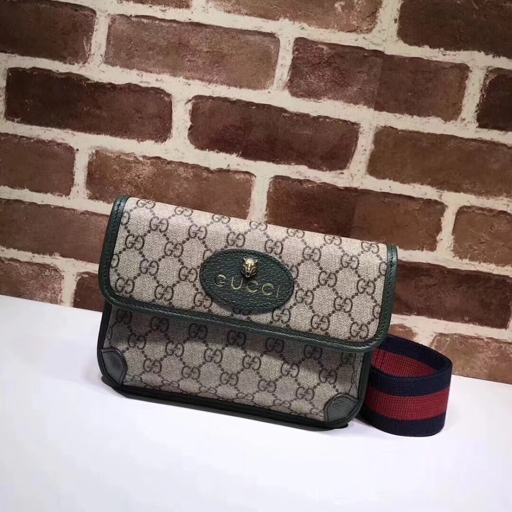 new-designer-premium-bags-nm17678