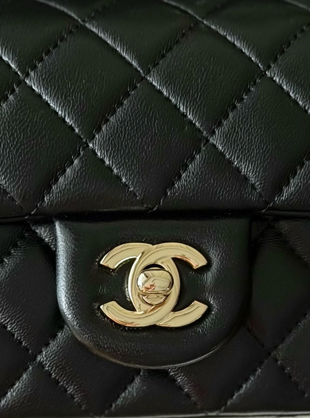 Anum Bags CHn Luxury Bag --114055