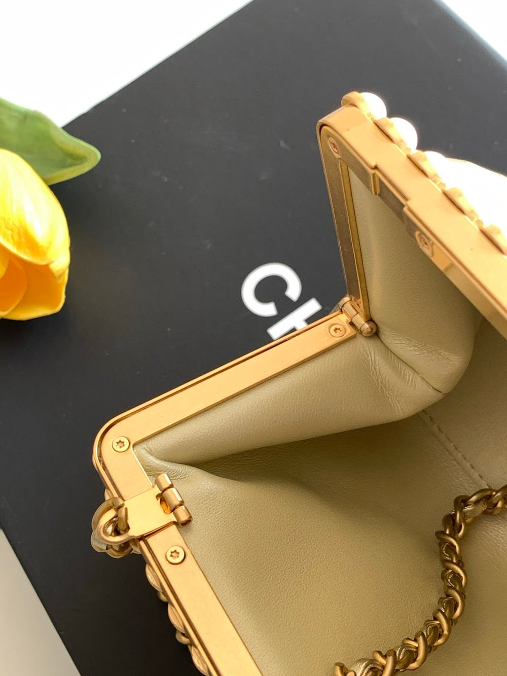 Anum Bags CHn Luxury Bag --113906