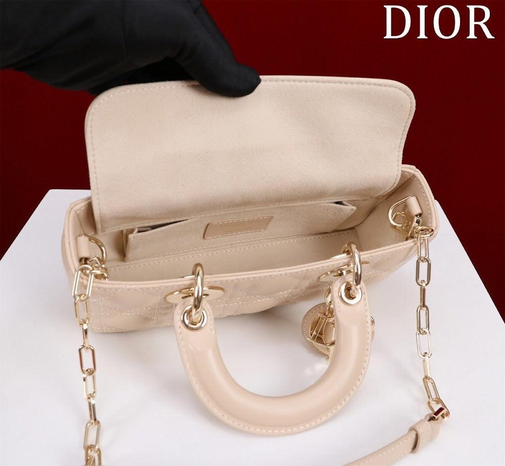 Anum Bags Diorn Luxury Bag --114761