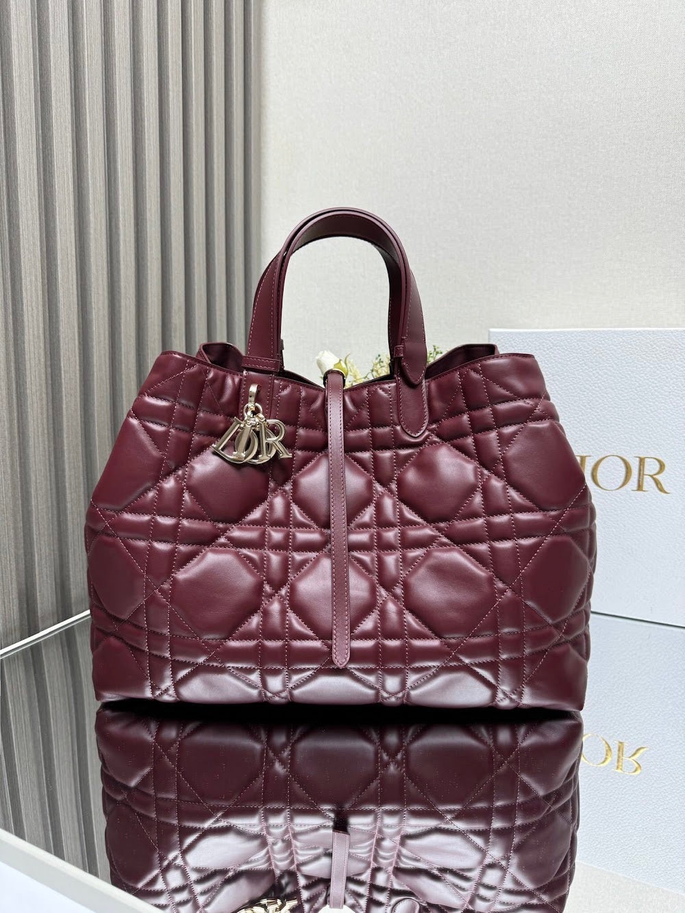 Ezyycart Bags Diorn Luxury Bag --116430
