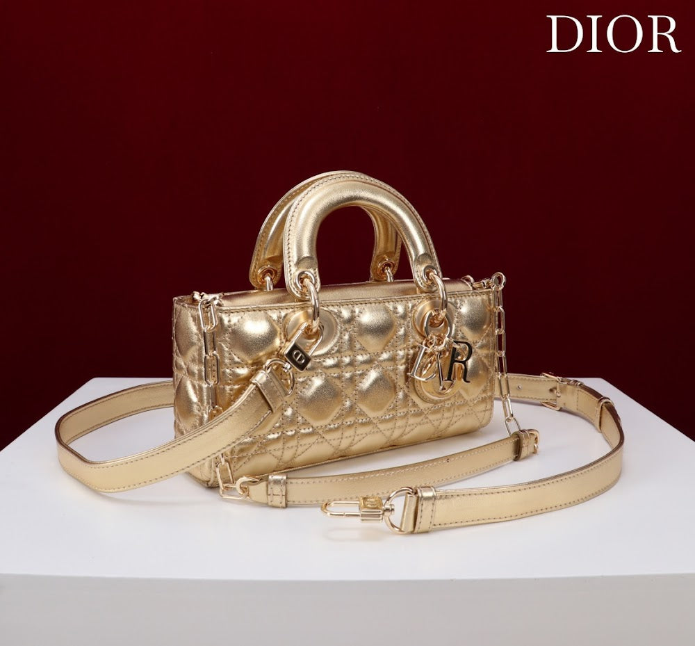 Anum Bags Diorn Luxury Bag --114716