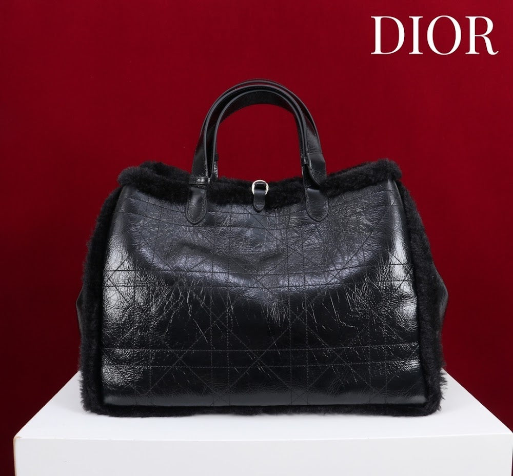Ezyycart Bags Diorn Luxury Bag --116118