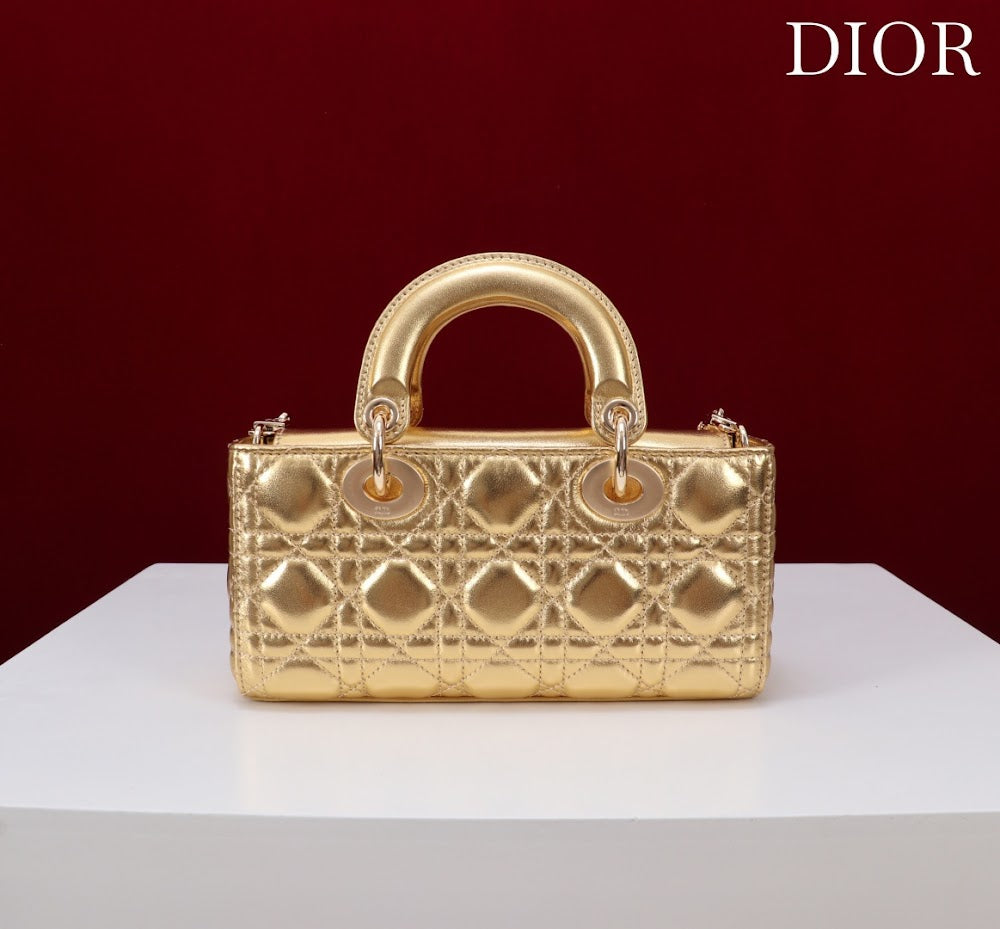 Anum Bags Diorn Luxury Bag --114717