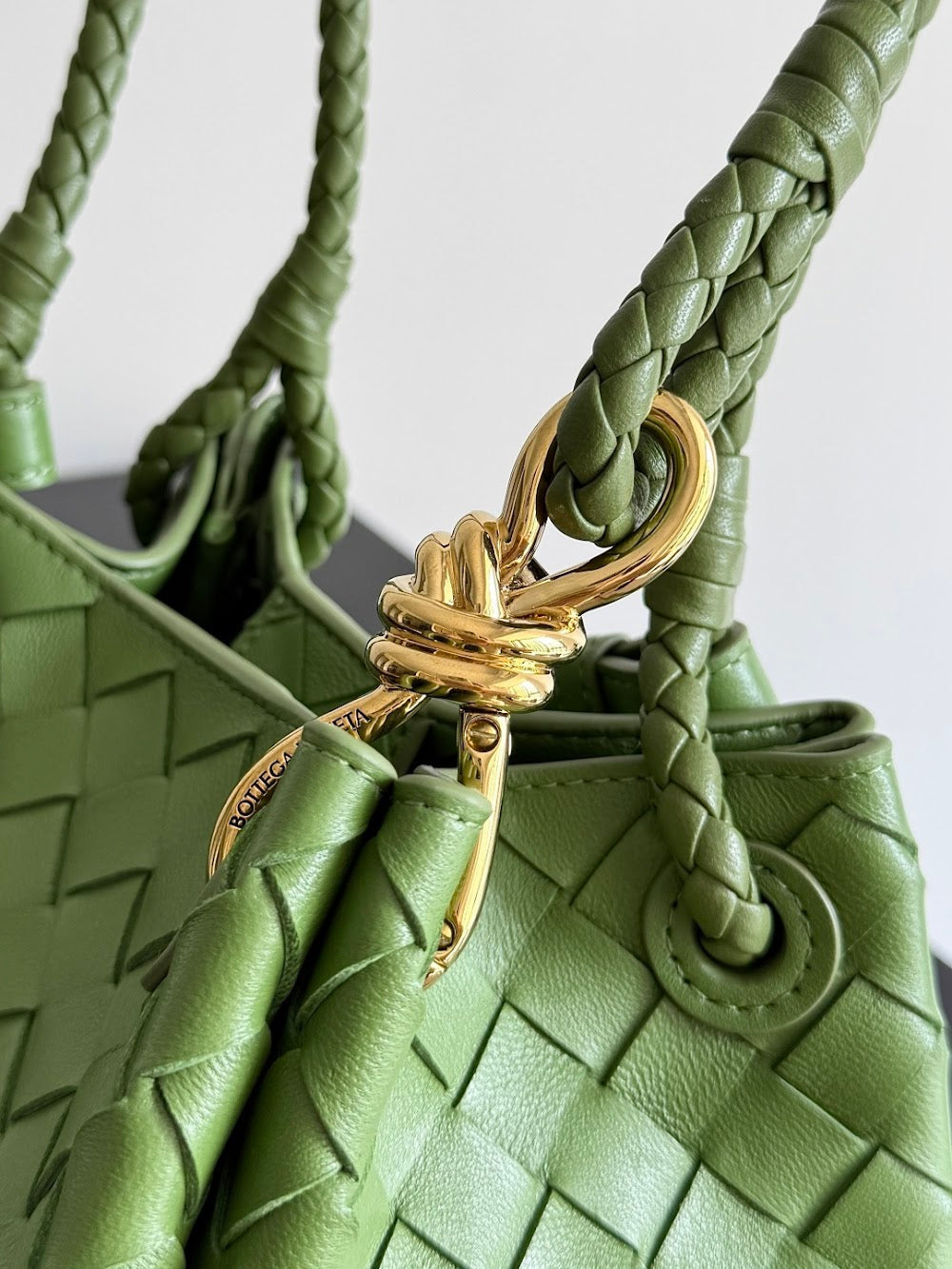 Ezyycart Bags Bottegan Luxury Bag --91105