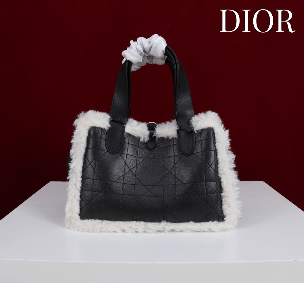 Anum Bags Diorn Luxury Bag --114888