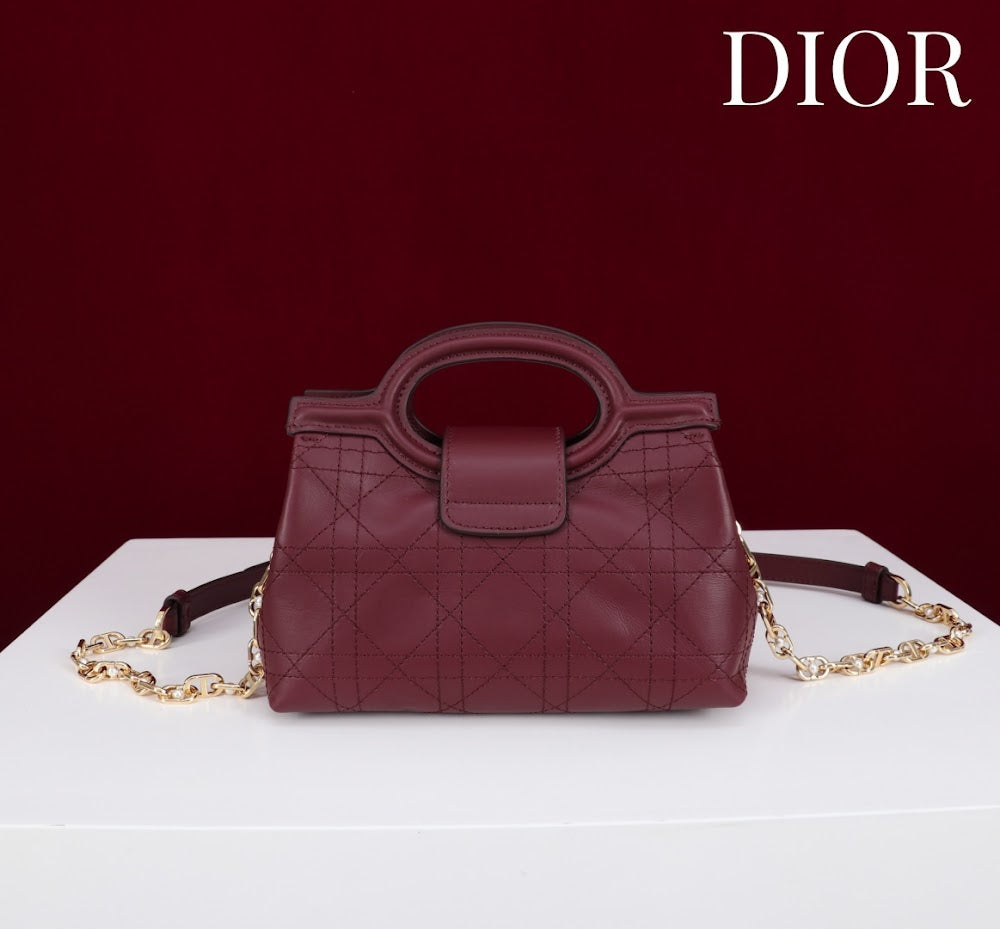 Anum Bags Diorn Luxury Bag --114561