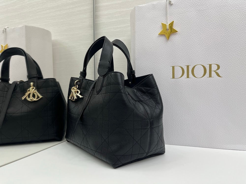 Ezyycart Bags Diorn Luxury Bag --115389