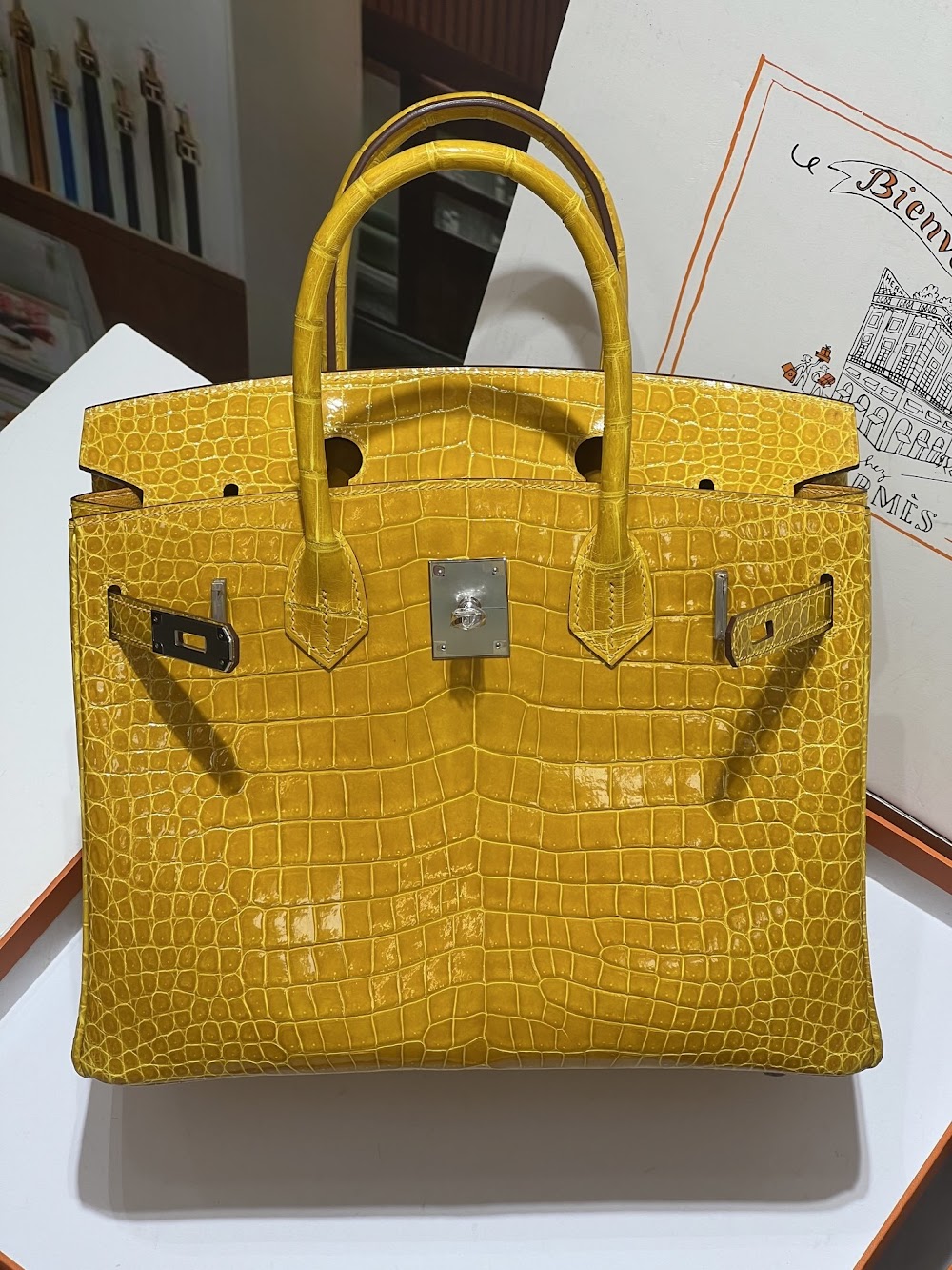 Anum Bags Hermesn Luxury Bag --117173