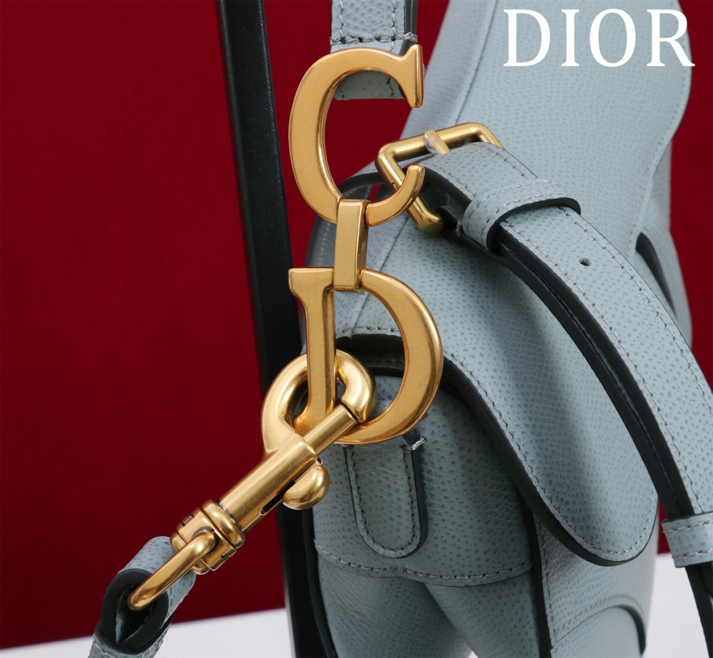 Ezyycart Bags Diorn Luxury Bag --116505