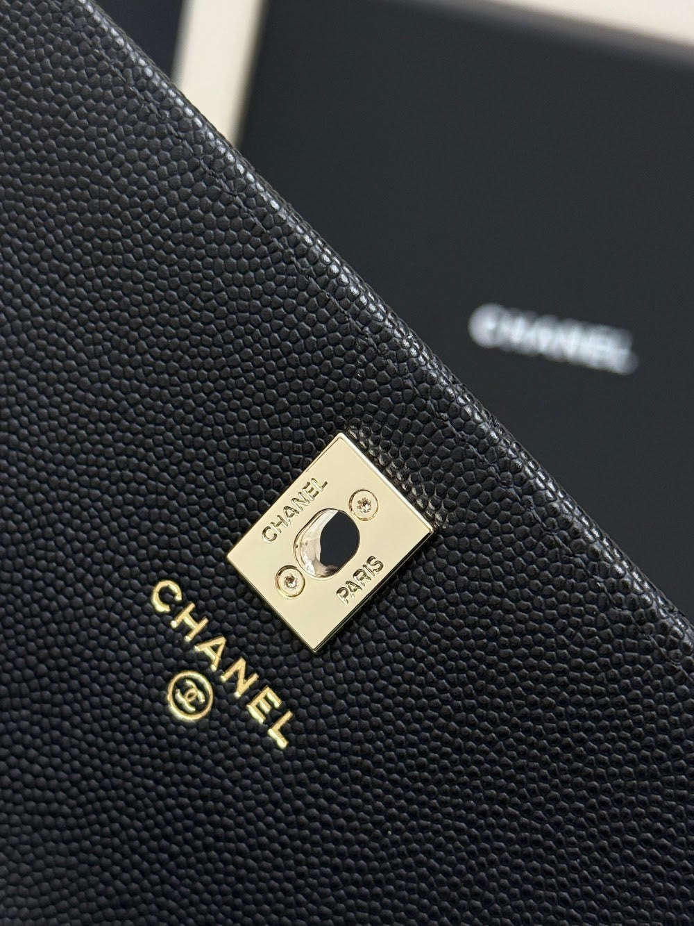 Anum Bags CHn Luxury Bag --113850