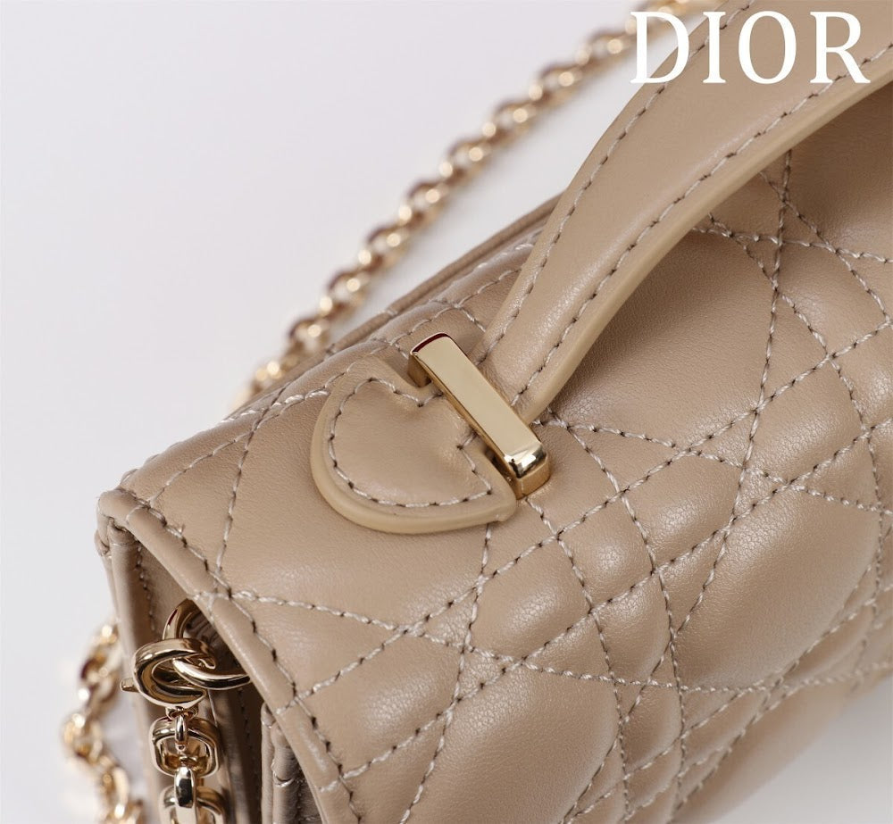 Ezyycart Bags Diorn Luxury Bag --116243