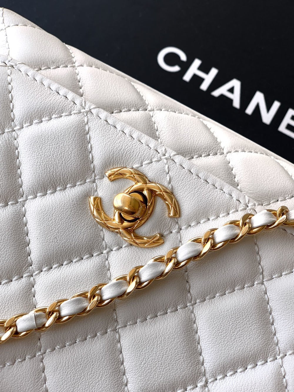Anum Bags CHn Luxury Bag --113973
