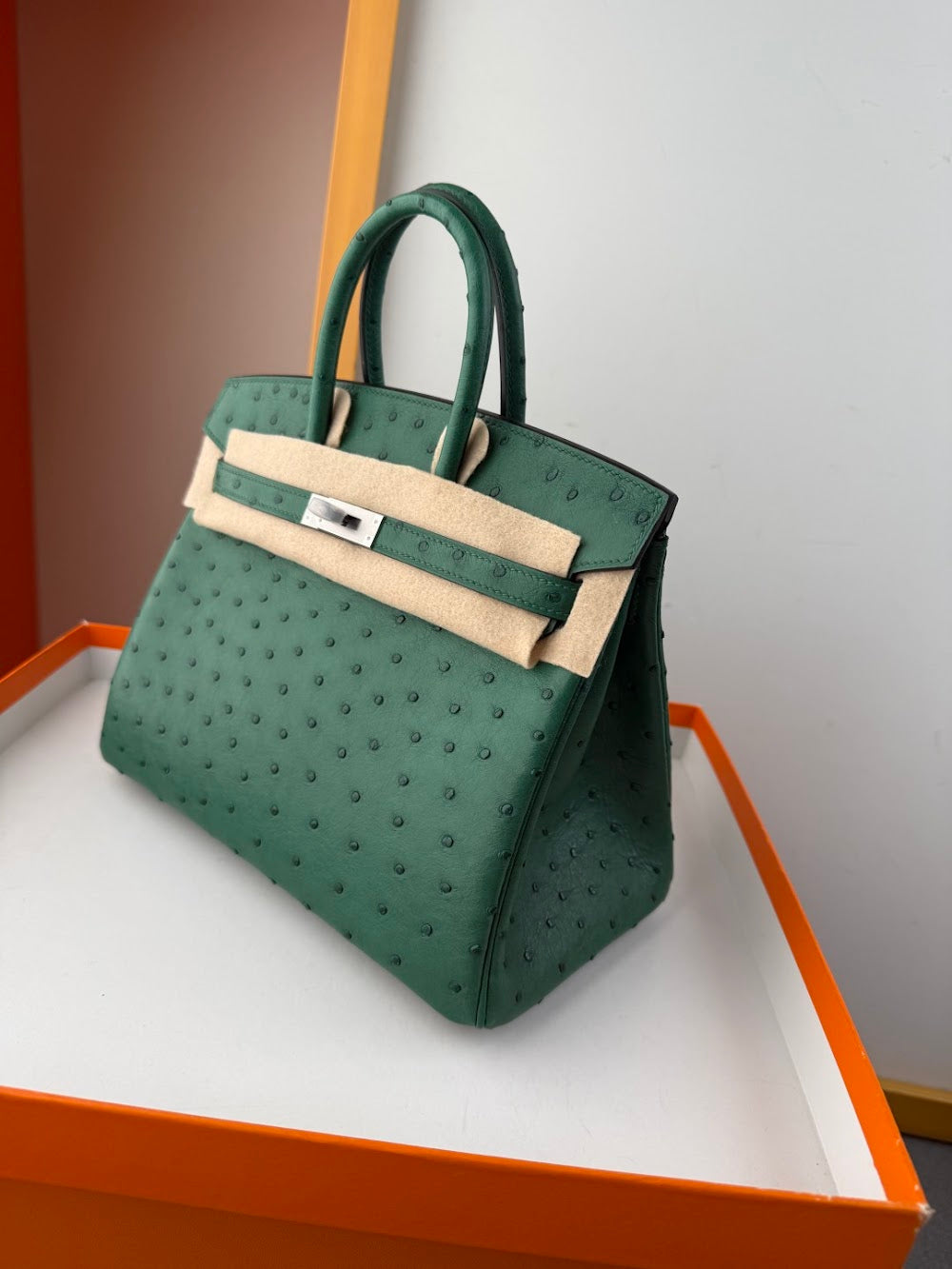 Anum Bags Hermesn Luxury Bag --116764