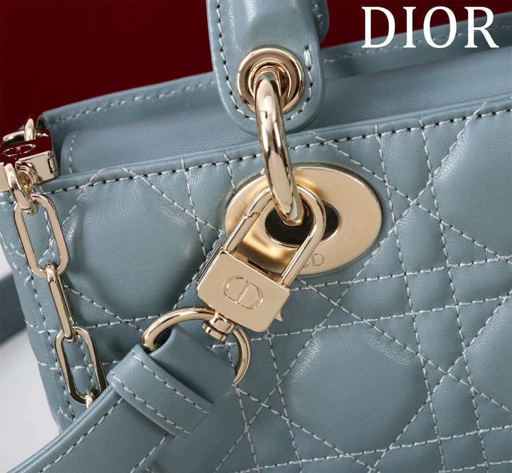 Anum Bags Diorn Luxury Bag --114728