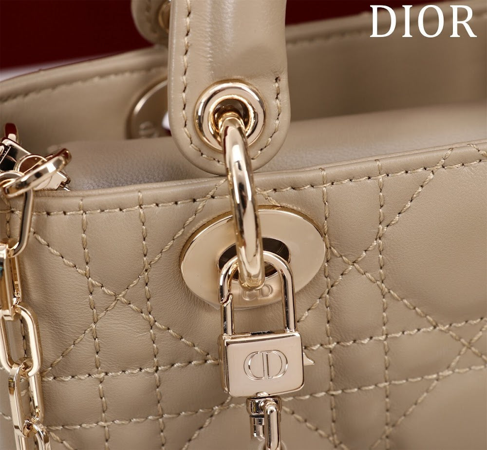 Ezyycart Bags Diorn Luxury Bag --116447