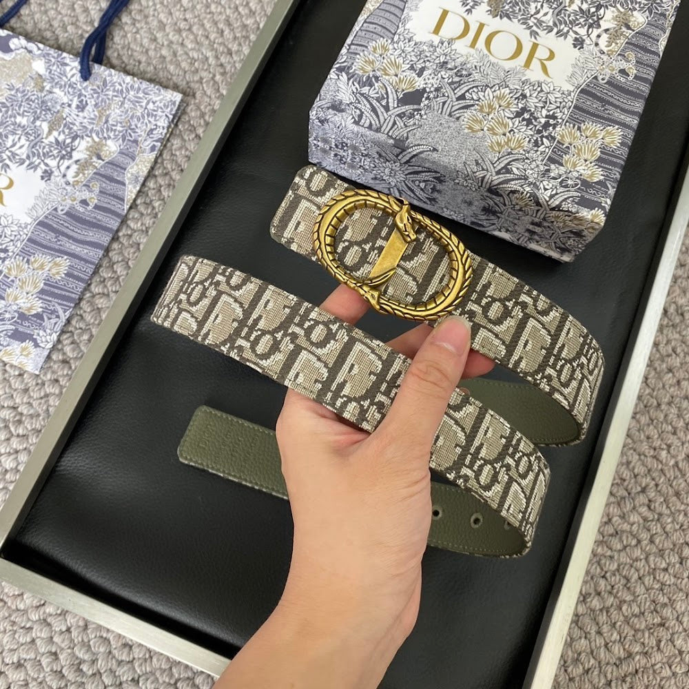 Anum Bags Diorn Luxury Belt --107742
