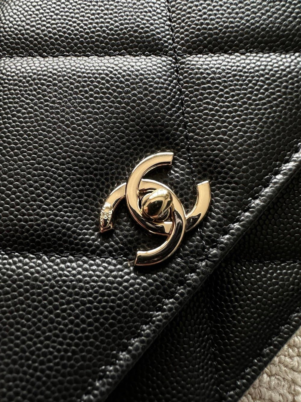 Anum Bags CHn Luxury Bag --112708