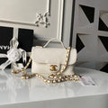 Anum Bags CHn Luxury Bag --113043