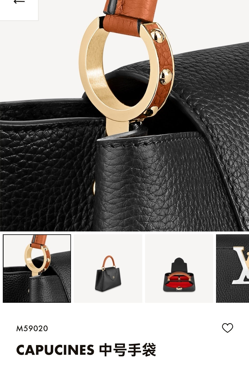 Anum Bags ln Luxury Bag --56571