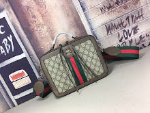 new-designer-premium-bags-nm8901