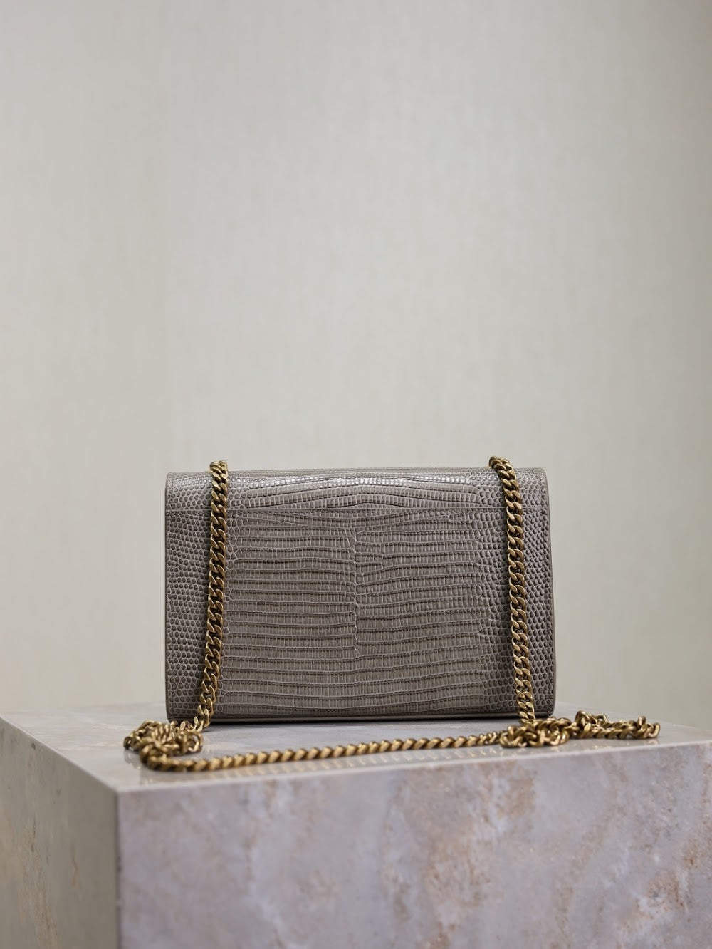 Ezyycart Bags YSLn Luxury Bag --119164