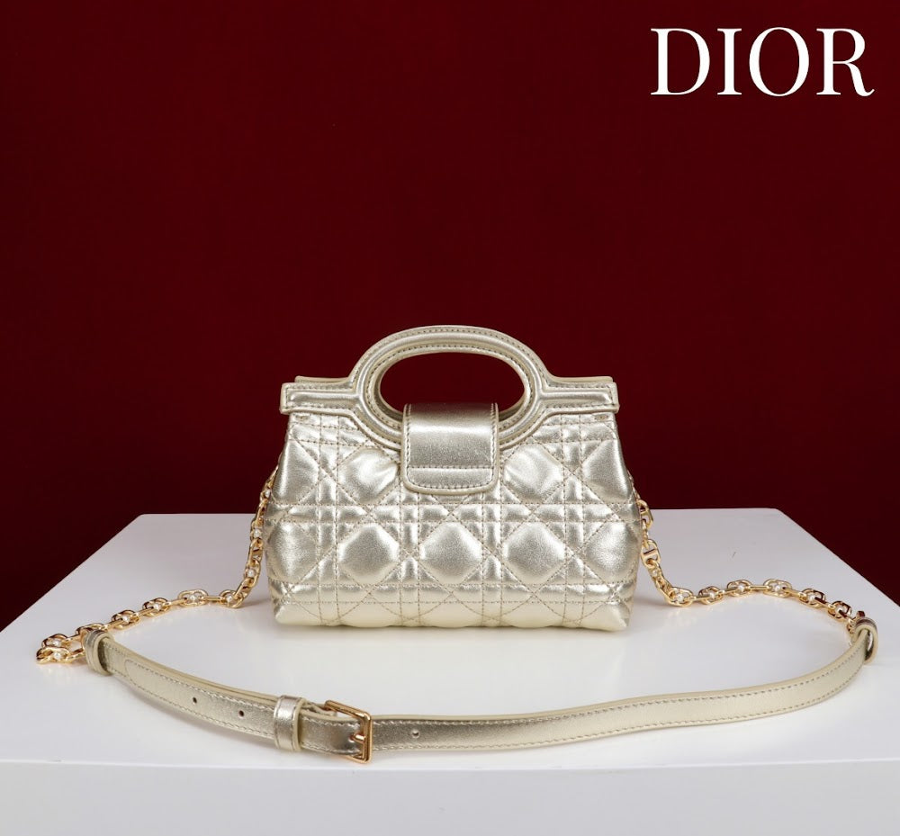Anum Bags Diorn Luxury Bag --114557