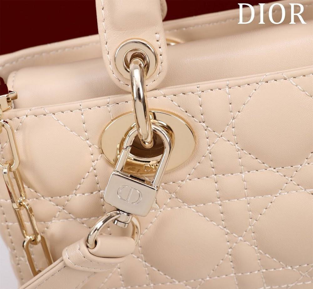 Anum Bags Diorn Luxury Bag --114761