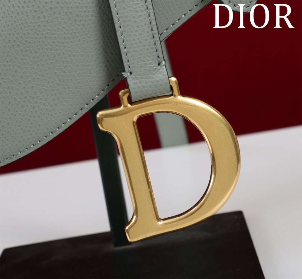 Ezyycart Bags Diorn Luxury Bag --116509