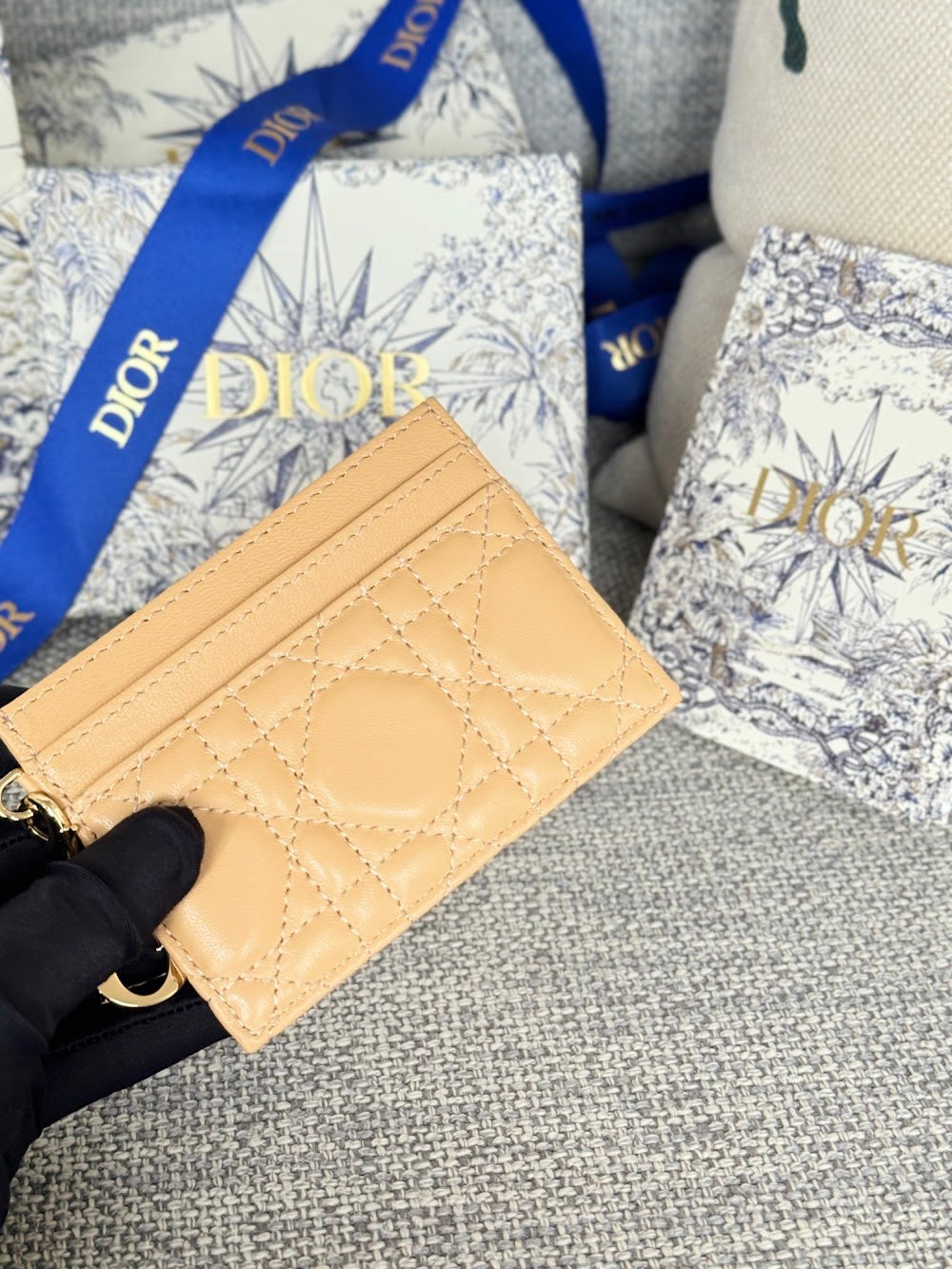 Anum Bags Diorn Luxury Bag --114683