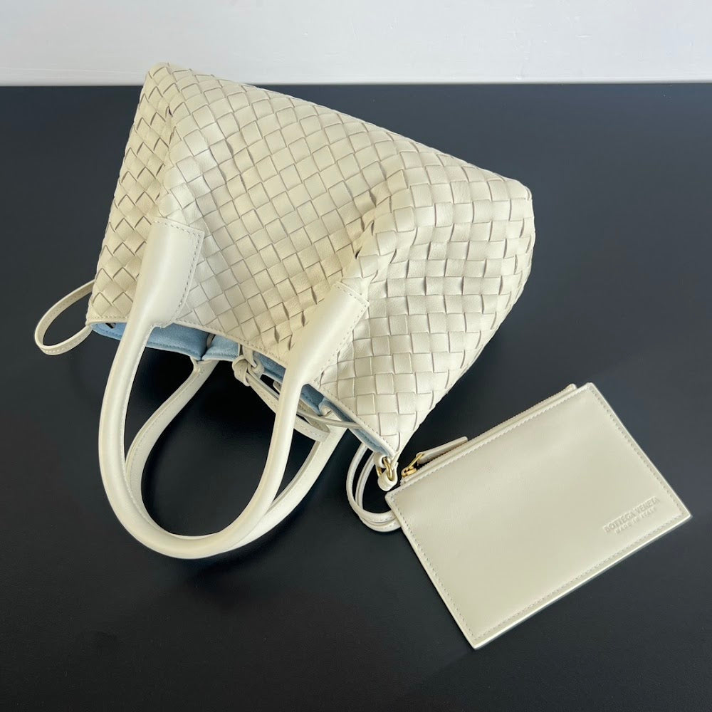 Ezyycart Bags Bottegan Luxury Bag --91336