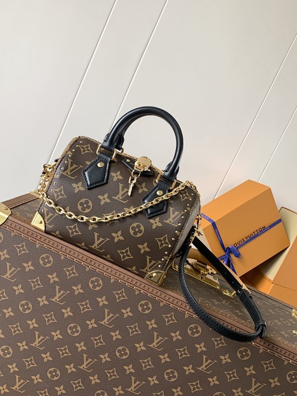Anum Bags LVn Luxury Bag --79096