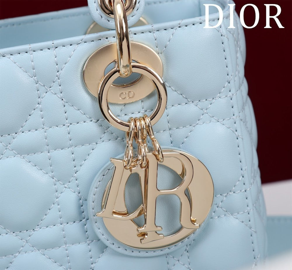 Ezyycart Bags Diorn Luxury Bag --115928
