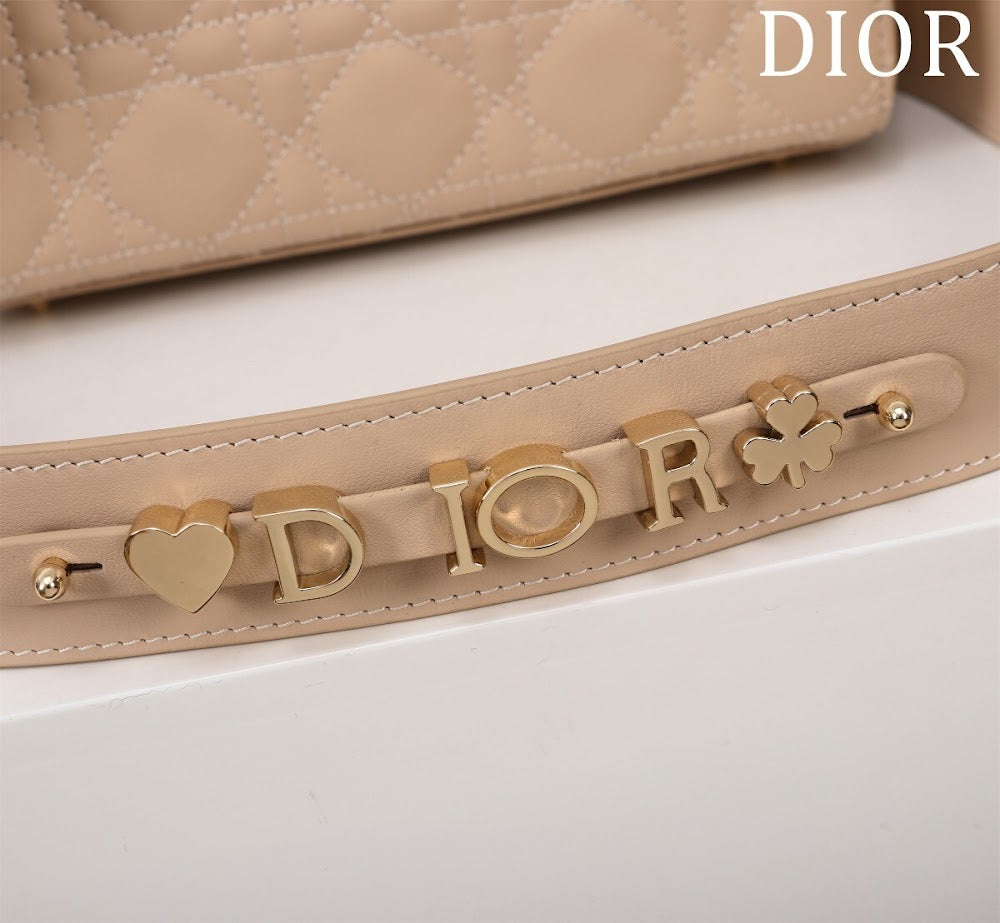 Ezyycart Bags Diorn Luxury Bag --115932