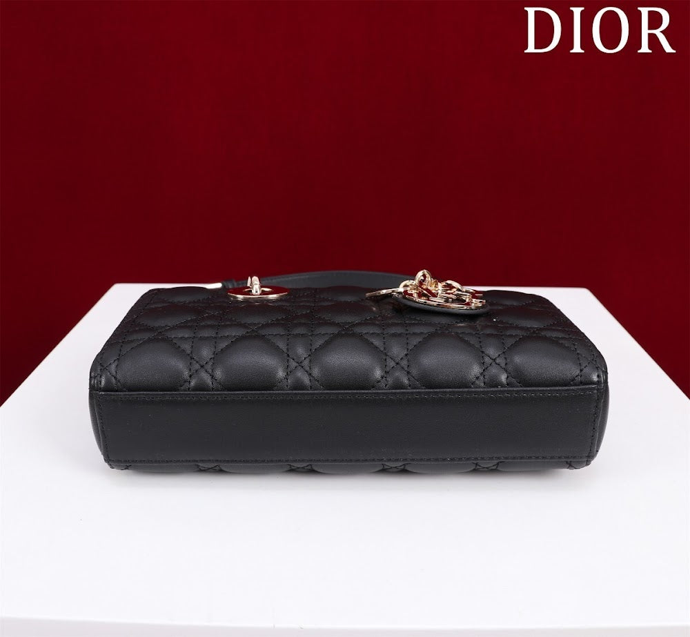 Anum Bags Diorn Luxury Bag --114714
