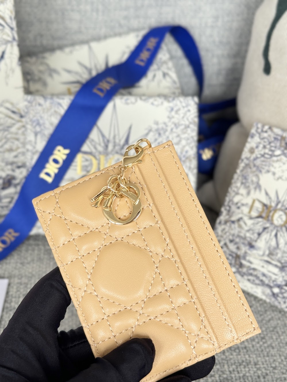 Anum Bags Diorn Luxury Bag --114683