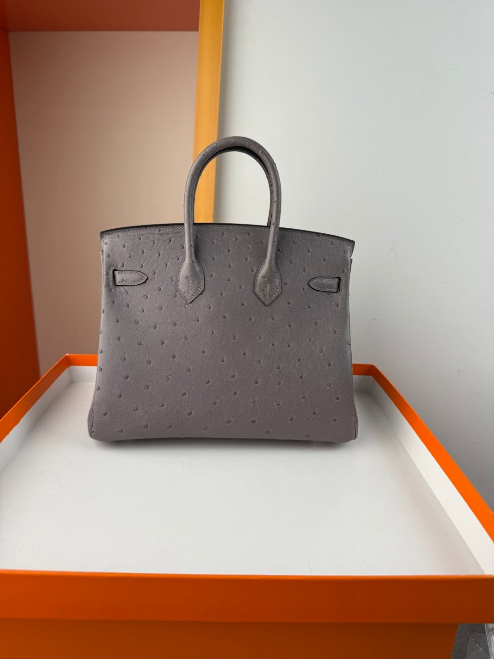Anum Bags Hermesn Luxury Bag --116753