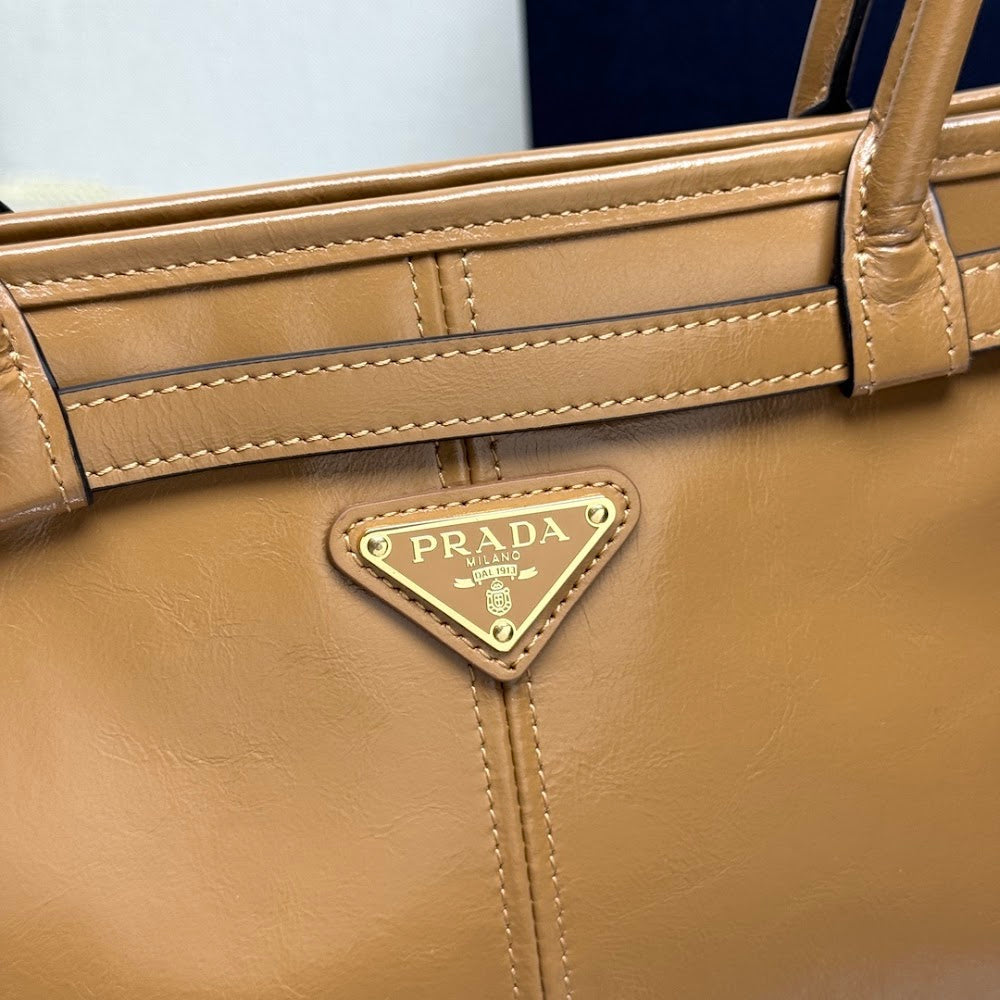 Ezyycart Bags Pradn Luxury Bag --102195