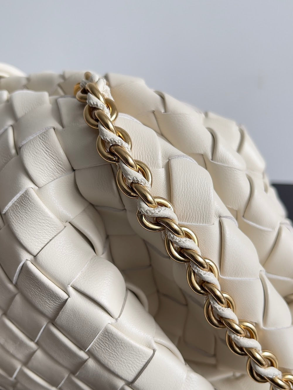 Ezyycart Bags Bottegan Luxury Bag --91078